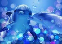 /album/peces-/descarga-jpg2/